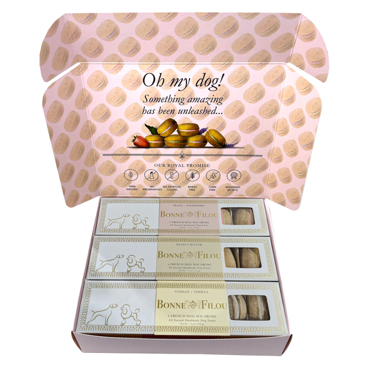 Dog Macaron Combo Gift Box (18 French Dog Macarons) - BIG FRENCHIES