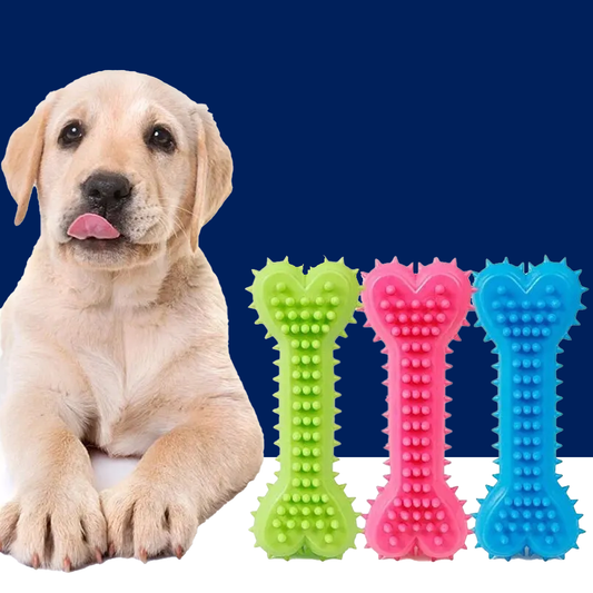 Durable Rubber Bone Chew Toys for Puppies and Teething - BIG FRENCHIES