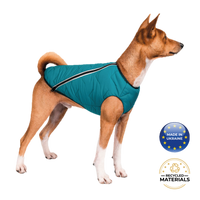 Sustainable Eco-Friendly Dog Jacket / Vest - Made in Ukraine - BIG FRENCHIES