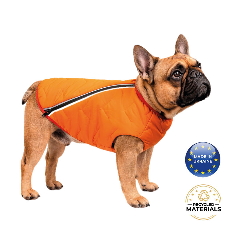 Sustainable Eco-Friendly Dog Jacket / Vest - Made in Ukraine - BIG FRENCHIES
