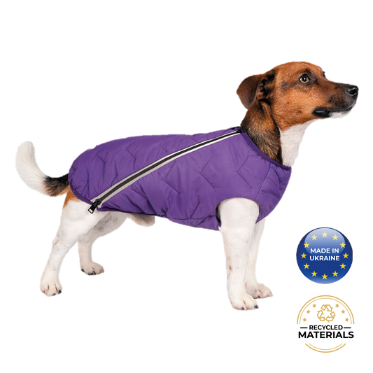 Sustainable Eco-Friendly Dog Jacket / Vest - Made in Ukraine - BIG FRENCHIES