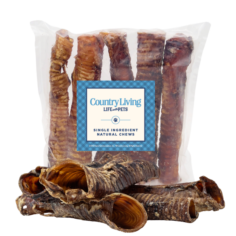 Country Living All-Natural Beef Trachea Dog Treats, Protein-Packed Chews – 12 Inches (5-Pack) - BIG FRENCHIES