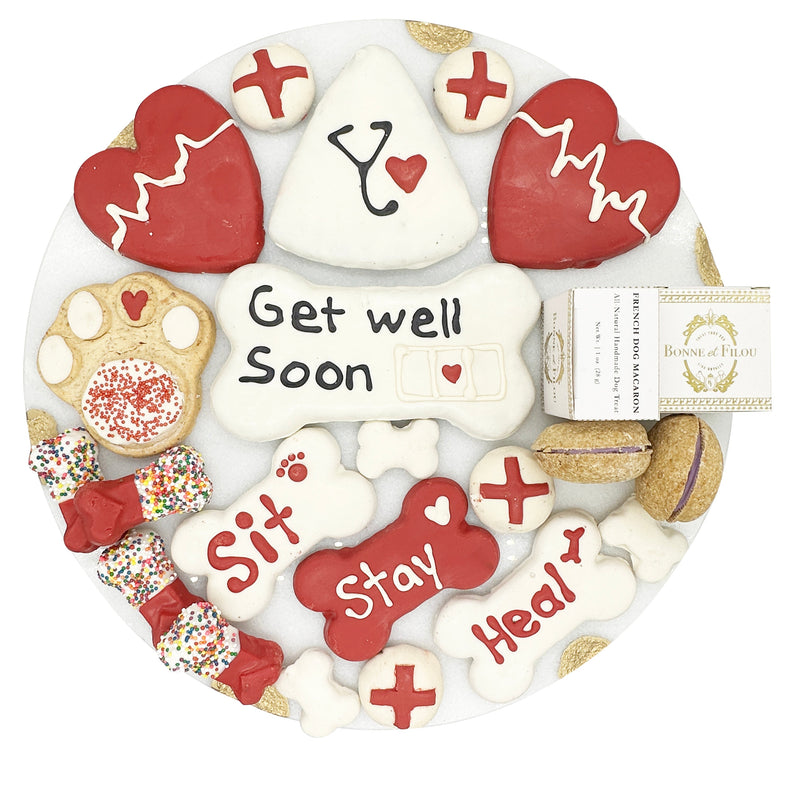 Get Well Soon Themed Dog Treats Gift Box - BIG FRENCHIES