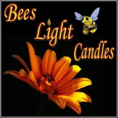 100 Pack of Clear Tealight Candle Boxes - Holds 6 Candles Per Box - BIG FRENCHIES