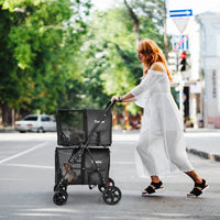 4-in-1 Double Pet Stroller with Detachable Carrier and Travel Carriage - BIG FRENCHIES