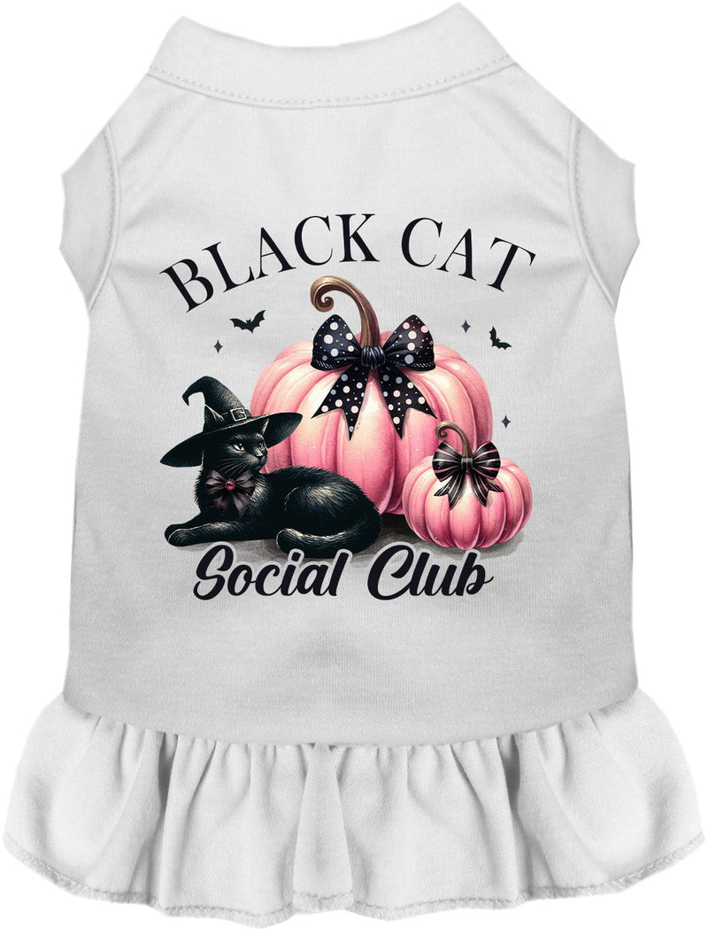 Pink and Black Cat Social Club Pet Dress-Pet Apparel-BIG FRENCHIES-As You Wish Apparel