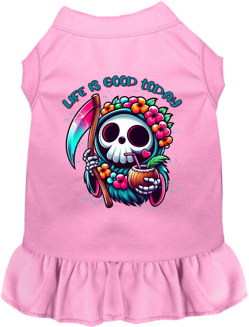 Tropical Grim Reaper Pet Dress-Pet Apparel-BIG FRENCHIES-As You Wish Apparel