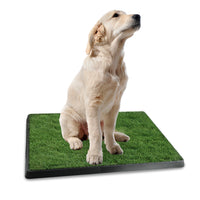 1Pc Dog Potty Training Artificial Grass Pad Pet Cat Toilet Trainer Mat Puppy Loo Tray Turf For Small Medium Dogs Indoor 