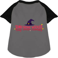 Something Wicked This Way Comes Pet Raglan Shirt