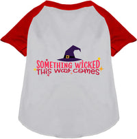 Something Wicked This Way Comes Pet Raglan Shirt