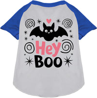 Hey Boo! Pet Raglan Shirt