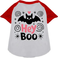 Hey Boo! Pet Raglan Shirt