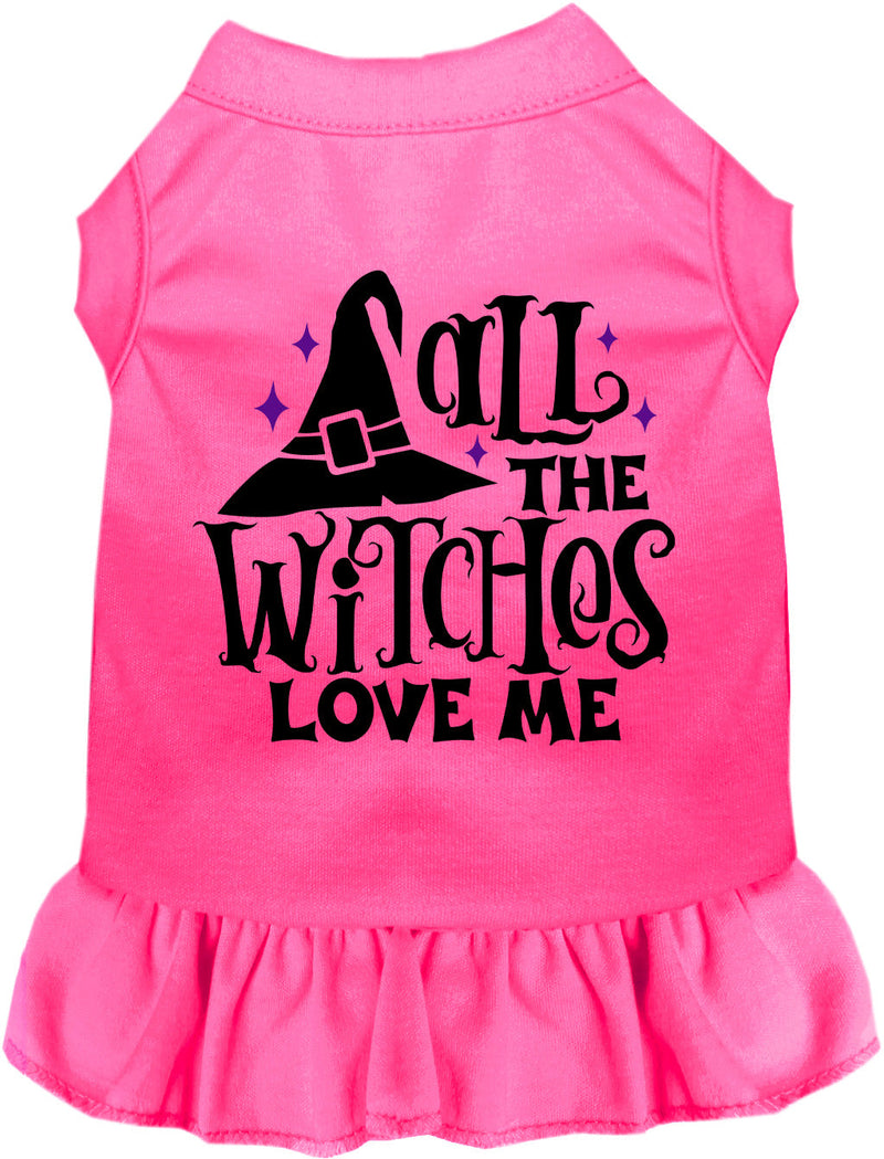 All the Witches Love Me Halloween Pet Dress-Pet Apparel-BIG FRENCHIES-As You Wish Apparel