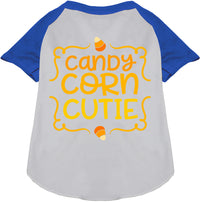 Candy Corn Cutie Pet Raglan Shirt