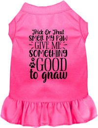 Good to Gnaw Halloween Pet Dress
