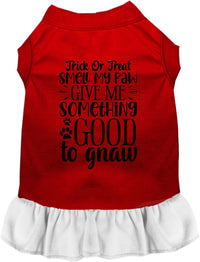 Good to Gnaw Halloween Pet Dress