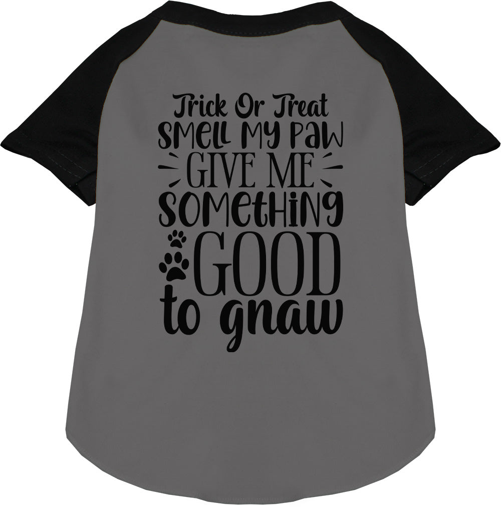 Good to Gnaw Pet Raglan Shirt