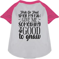 Good to Gnaw Pet Raglan Shirt