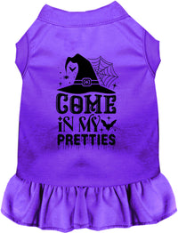 Come In My Pretties Witch Halloween Pet Dress