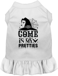 Come In My Pretties Witch Halloween Pet Dress