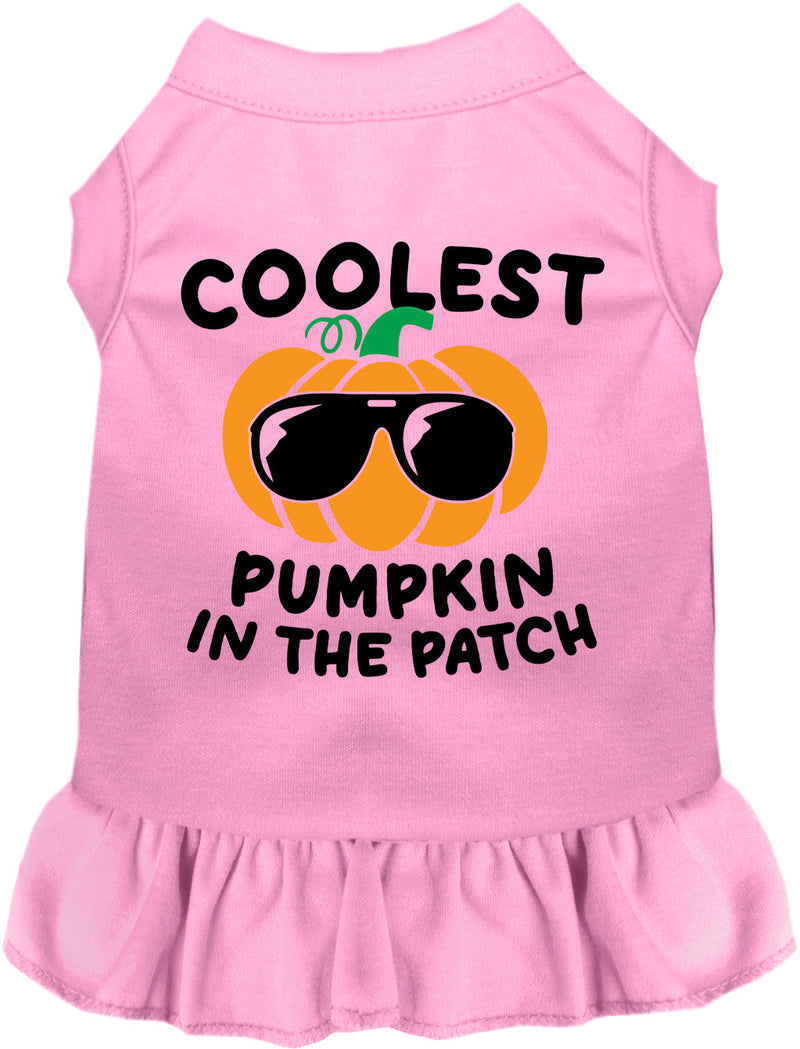 Coolest Pumpkin Pet Dress-Pet Apparel-BIG FRENCHIES-As You Wish Apparel