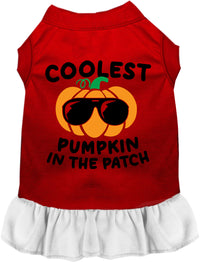Coolest Pumpkin Pet Dress