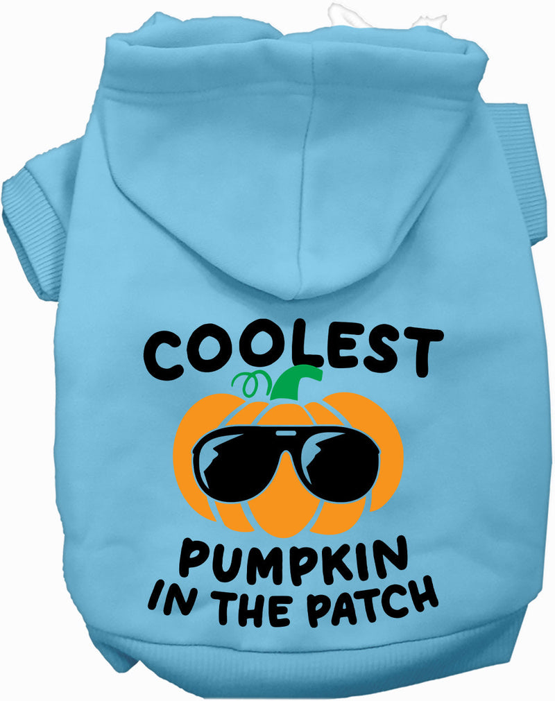 Coolest Pumpkin Halloween Pet Hoodie-Pet Apparel-BIG FRENCHIES-As You Wish Apparel