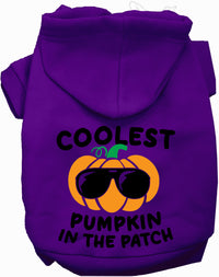 Coolest Pumpkin Halloween Pet Hoodie