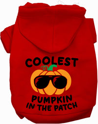 Coolest Pumpkin Halloween Pet Hoodie