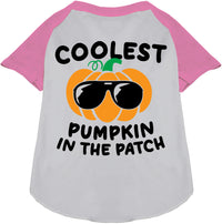 Coolest Pumpkin Pet Raglan Shirt