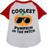 Coolest Pumpkin Pet Raglan Shirt