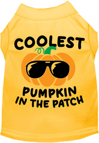 Coolest Pumpkin Pet Shirt