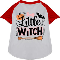 Little Witch Pet Raglan Shirt