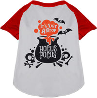 Just a Bunch of Hocus Pocus Pet Raglan Shirt
