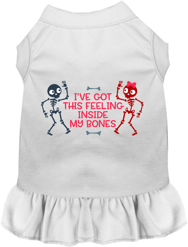 Inside My Bones Pet Dress-Pet Apparel-BIG FRENCHIES-As You Wish Apparel