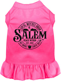 Salem Witches Union Pet Dress