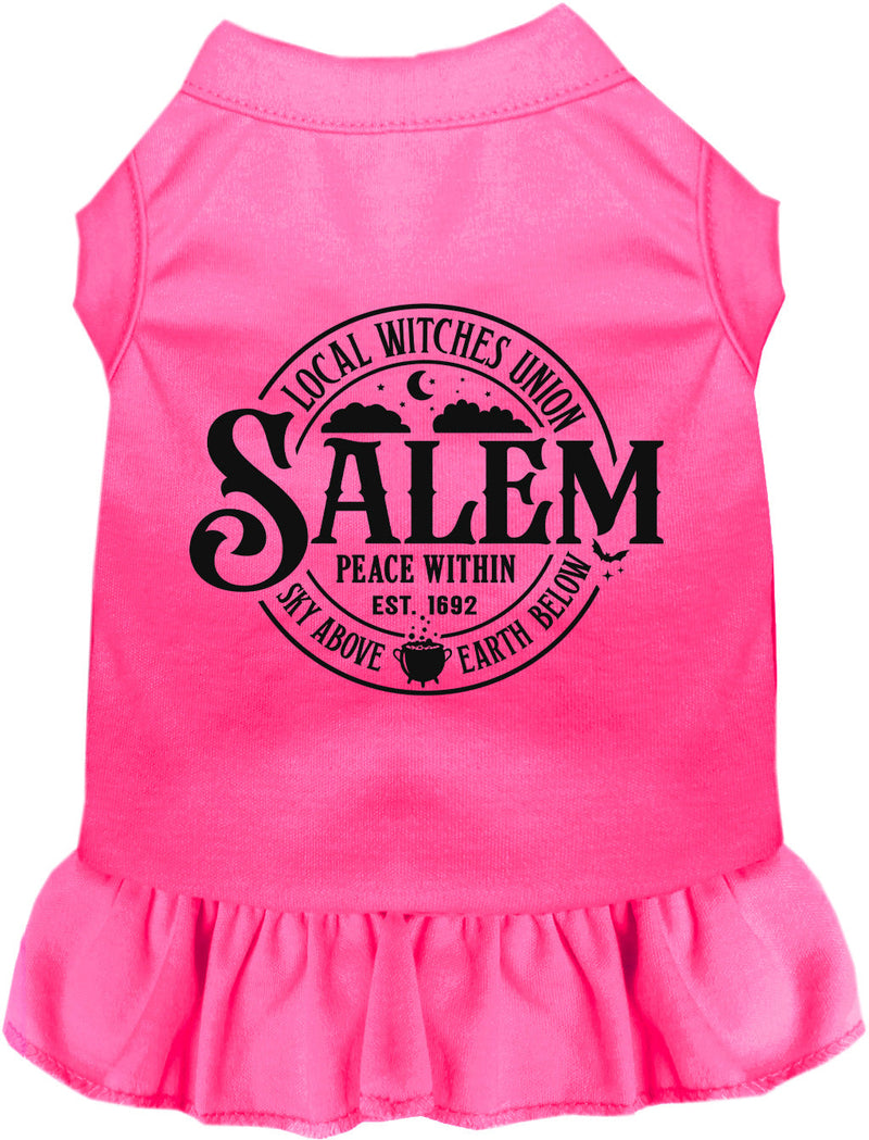 Salem Witches Union Pet Dress-Pet Apparel-BIG FRENCHIES-As You Wish Apparel