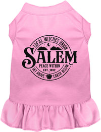 Salem Witches Union Pet Dress