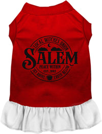 Salem Witches Union Pet Dress