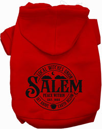 Salem Witches Union Halloween Pet Hoodie