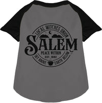 Salem Witches Union Pet Raglan Shirt