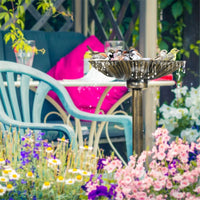 Bird Bath /Bird Feeder Bowl