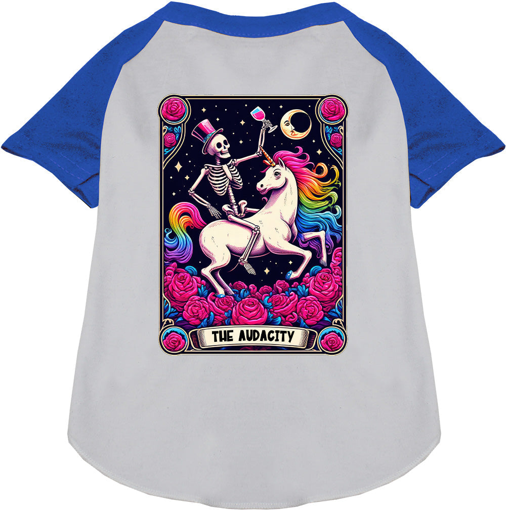 The Absurdity! Pet Raglan Shirt