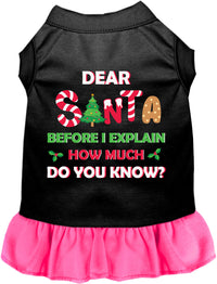 Santa, How Much? Pet Dress