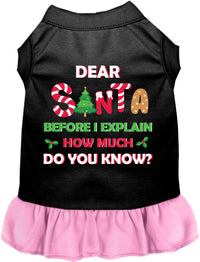 Santa, How Much? Pet Dress