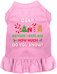 Santa, How Much? Pet Dress