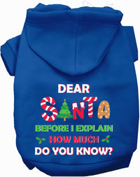 Santa, How Much Do You Know? Christmas Pet Hoodie