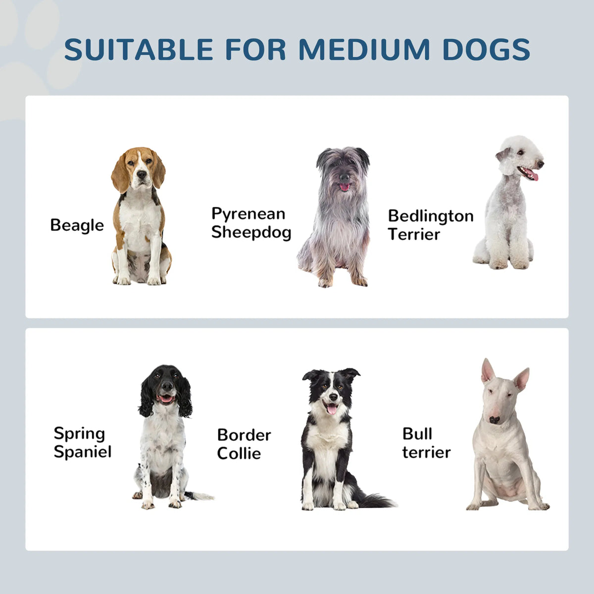 Elevated Dog Bowl(No shipments on weekends)