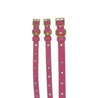 Plain Leather Dog Collar - BIG FRENCHIES