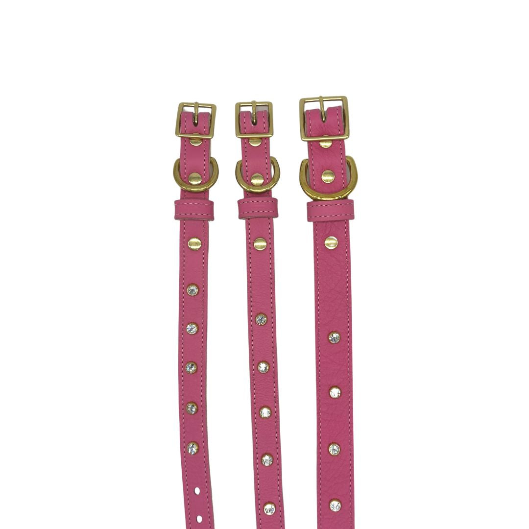 Plain Leather Dog Collar - BIG FRENCHIES
